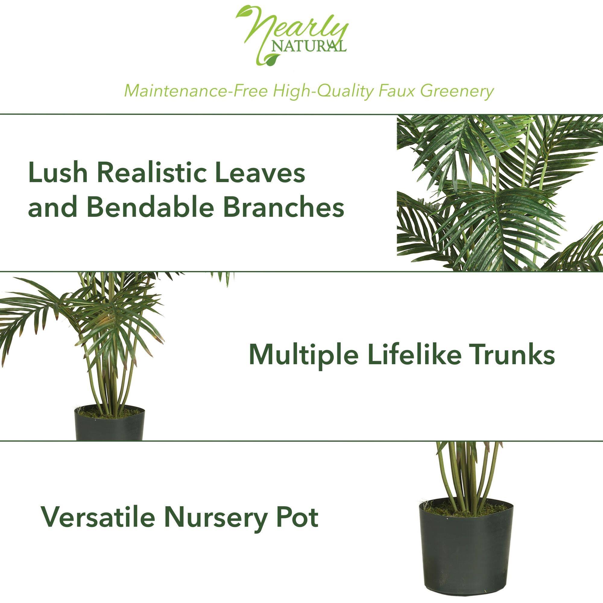 6ft. Potted Paradise Palm